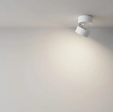 Светодиодный спот Maytoni Onda C024CL-12W4K-W-1