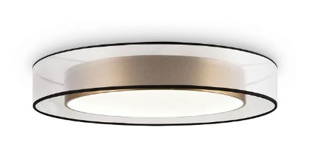 Потолочный светодиодный светильник Freya Zoticus FR6005CL-L48G