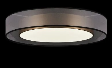 Потолочный светодиодный светильник Freya Zoticus FR6005CL-L48G