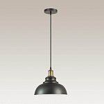 Подвесной светильник Lumion Dario 3675/1 E27