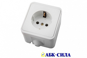 Розетка одноместная с з/к ОУ IP 44 16A 220B (керамика) ПЕГАС белая АБК-СИЛА