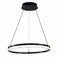 Подвесная люстра Seven Fires Liven SF5023/1P-BK-GD