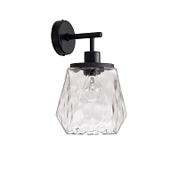 Бра Odeon Light Capra 4996/1W E27 черный/прозрачный/металл/стекло