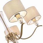 *Подвесная люстра Evoluce Cassia SLE1126-203-05
