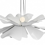 Подвесная люстра Lightera Chad LE116L-40W