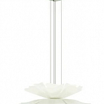 Подвесная люстра Lightera Chad LE116L-40W