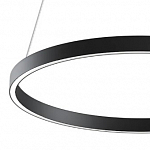 Подвесной светодиодный светильник Maytoni Rim MOD058PL-L32BK