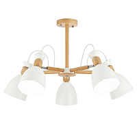 Потолочная люстра Evoluce Balcamo SLE103802-05 E27 5*60W 
