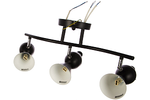 Светильник потолочный Luminarte Bird-CL40G9-3BL 3*G9