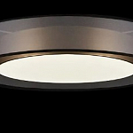 Потолочный светодиодный светильник Freya Zoticus FR6005CL-L48G