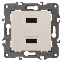 Механизм зарядного устройства Elegance USB 5В-2100мА 14-4110-02 сл.кость ЭРА